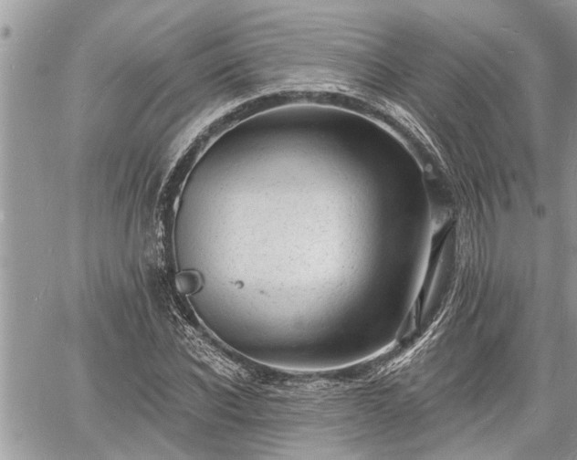 X0000060740926200511171053