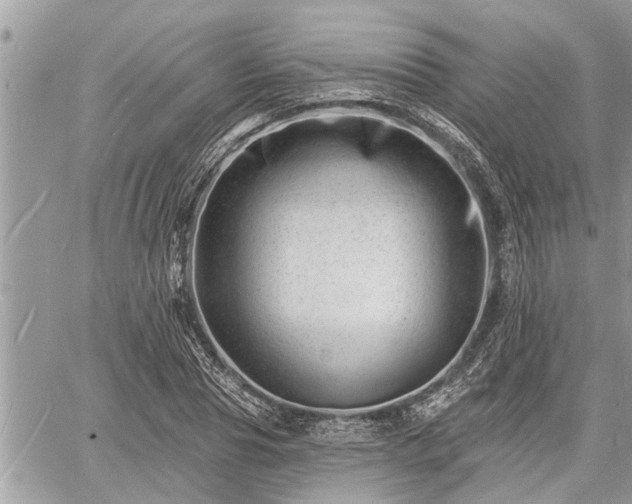 X0000060740929200511171053