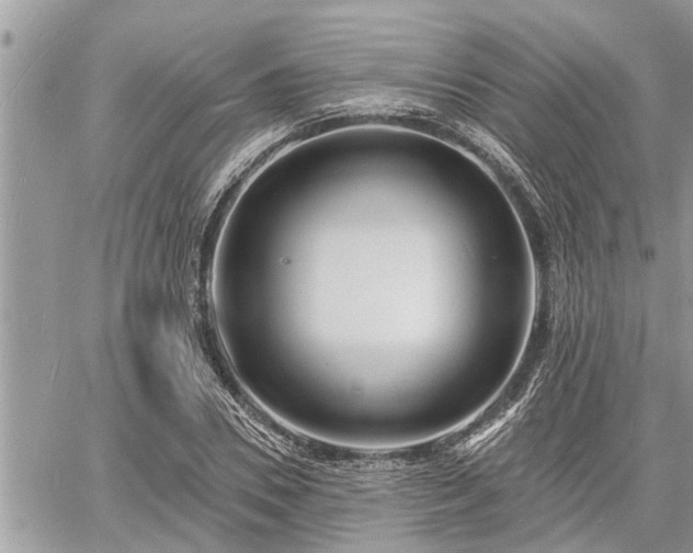 X0000060740930200511171053