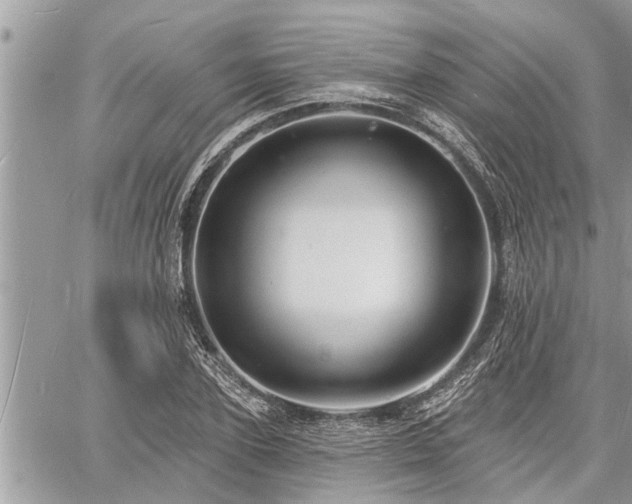 X0000060740931200511171053