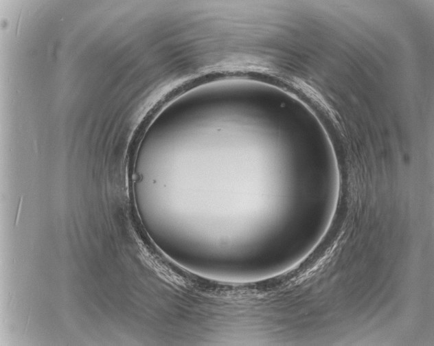 X0000060740934200511171053