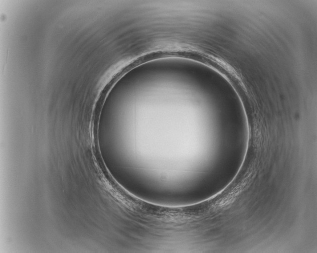 X0000060740935200511171053