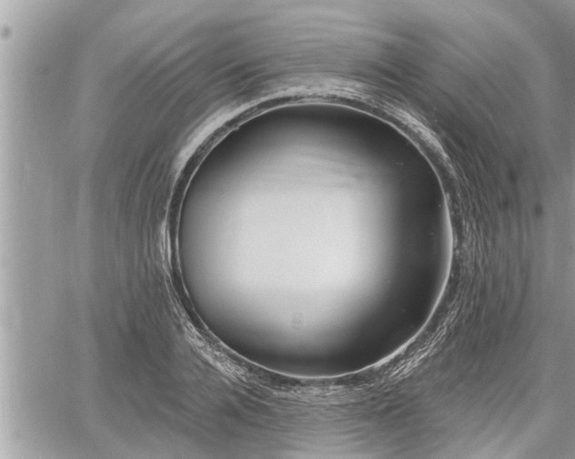 X0000060740936200511171053