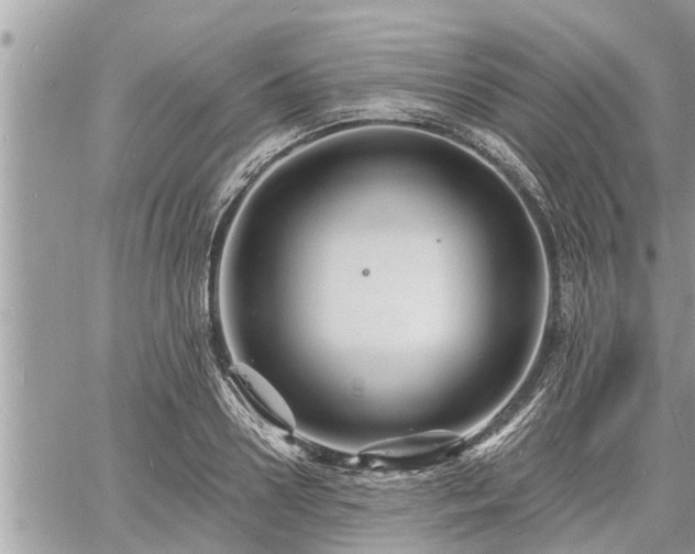 X0000060740938200511171053