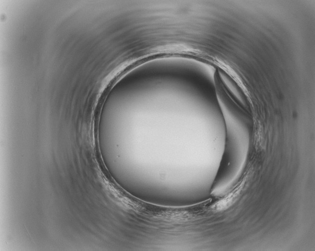 X0000060740939200511171053