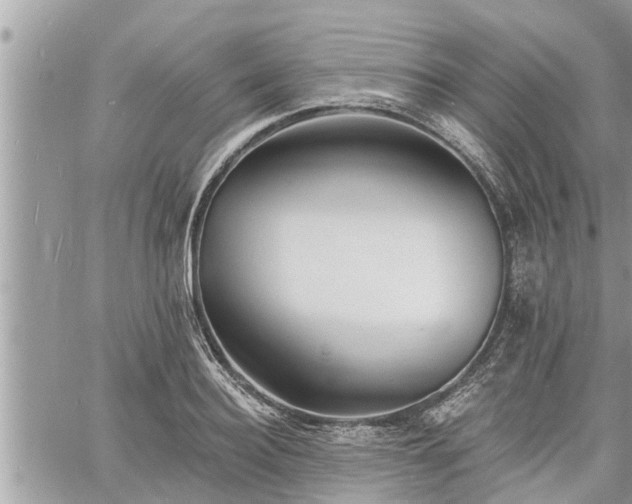 X0000060740940200511171053