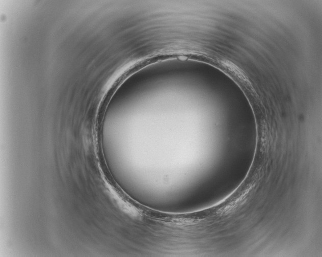 X0000060740942200511171053