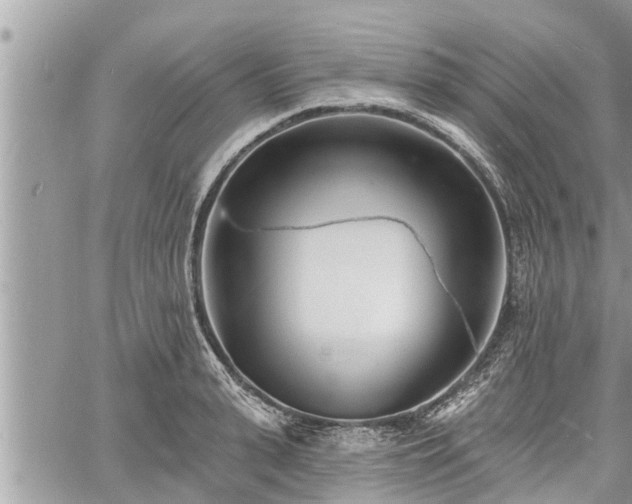 X0000060740943200511171053