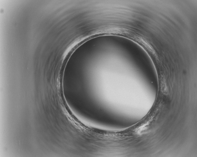 X0000060740944200511171054