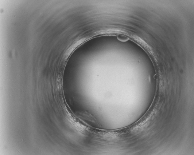 X0000060740945200511171054