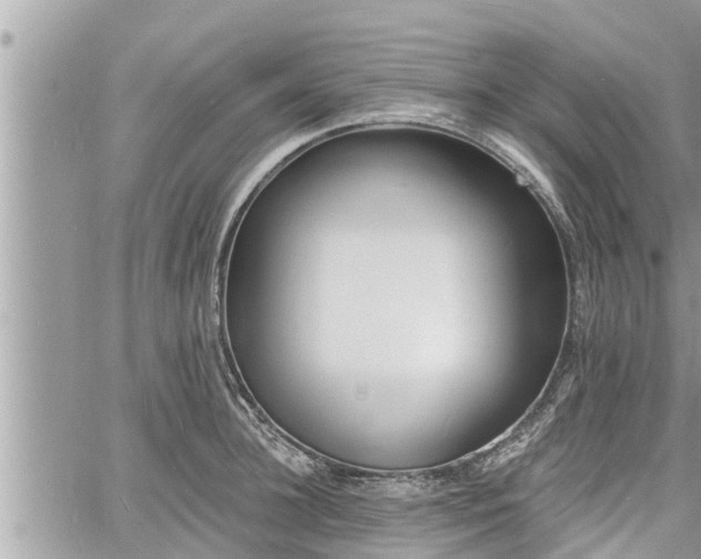 X0000060740948200511171054