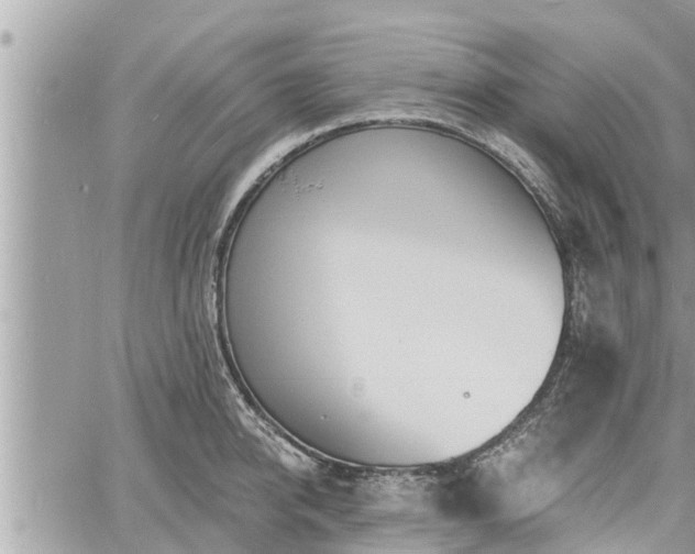 X0000060740950200511171054