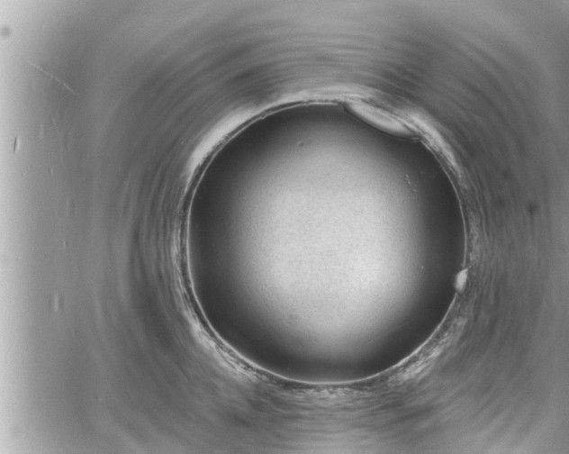 X0000060740952200511171054