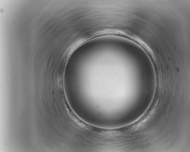 X0000060740953200511171054