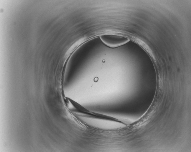 X0000060740954200511171054