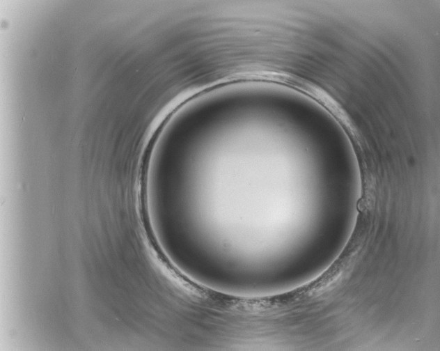 X0000060740955200511171054