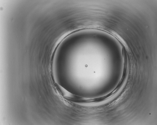 X0000060740956200511171054