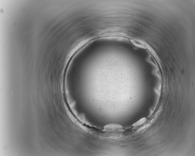 X0000060740957200511171054