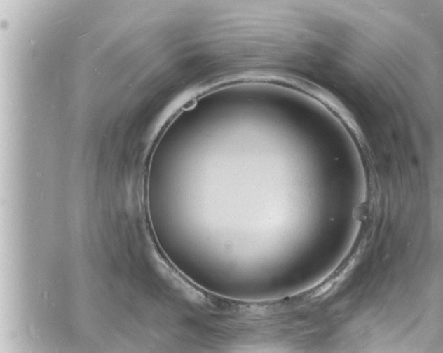 X0000060740958200511171054