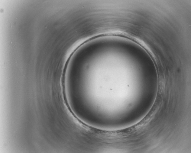 X0000060740959200511171054