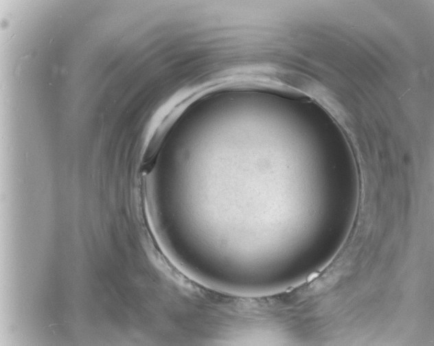 X0000060740960200511171054