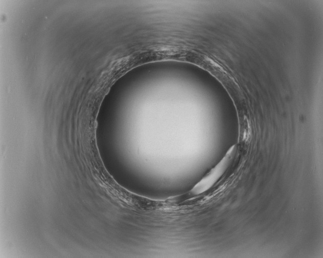 X0000060740961200511171053