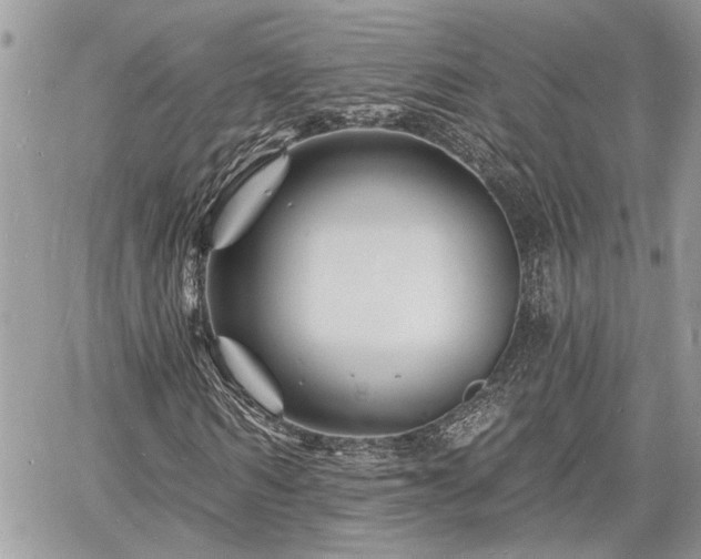 X0000060740962200511171053