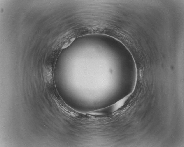 X0000060740963200511171053