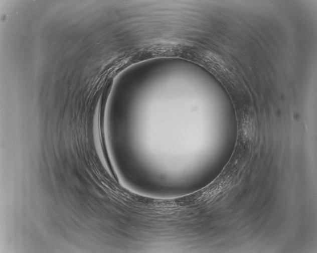 X0000060740964200511171053