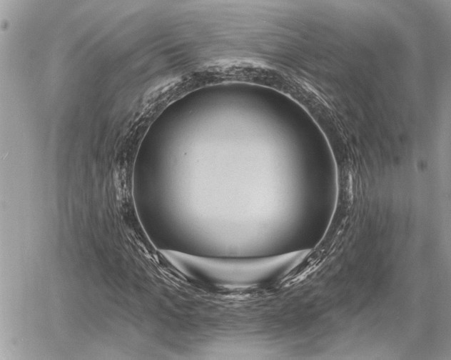 X0000060740965200511171053