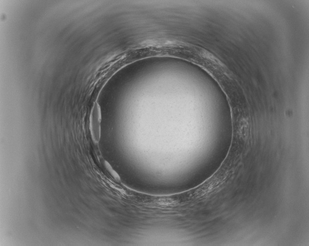 X0000060740966200511171053