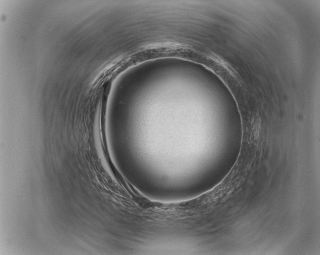 X0000060740967200511171053