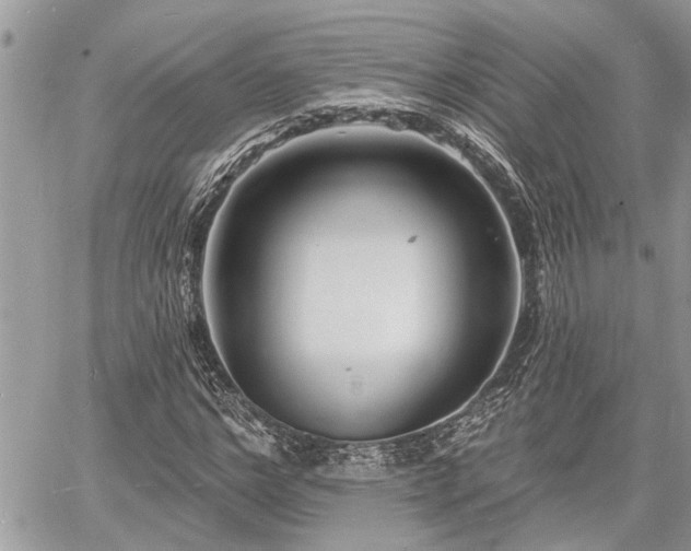 X0000060740968200511171053