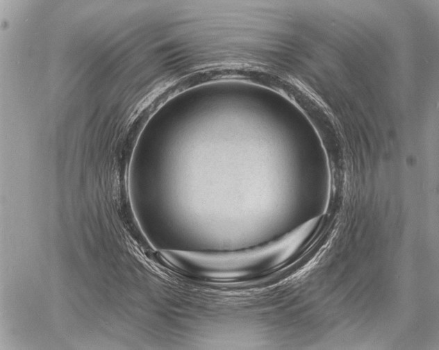 X0000060740969200511171053