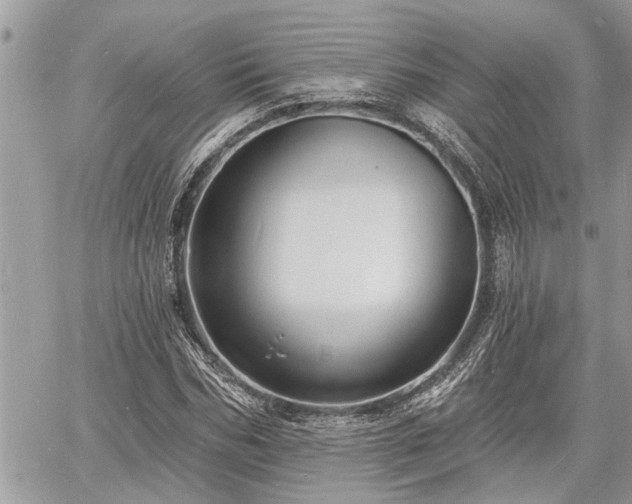 X0000060740970200511171053