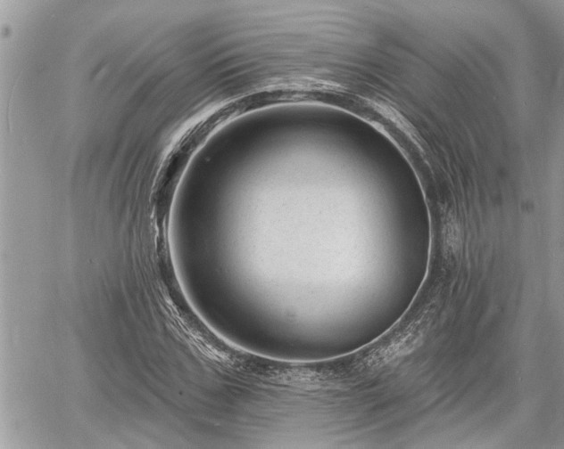 X0000060740971200511171053