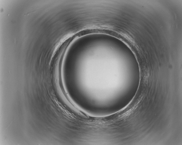 X0000060740974200511171053