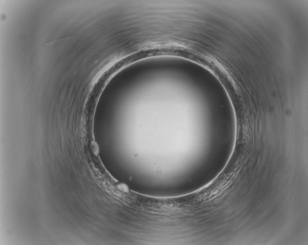 X0000060740975200511171053