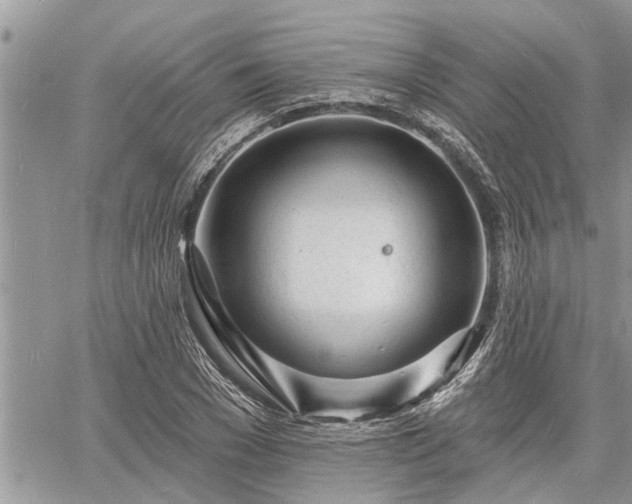 X0000060740977200511171053