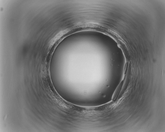 X0000060740978200511171053