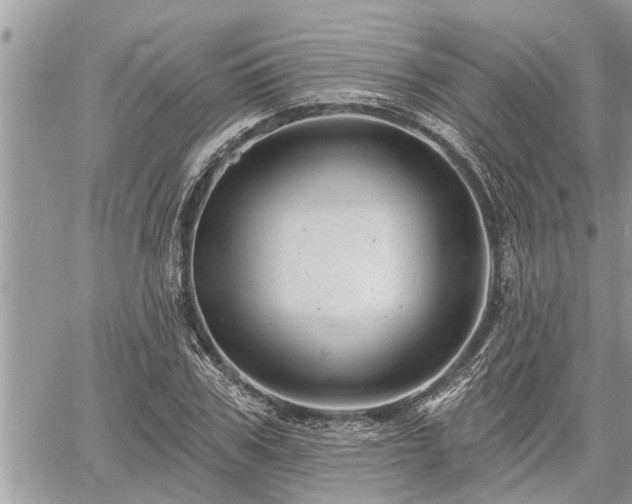 X0000060740979200511171053