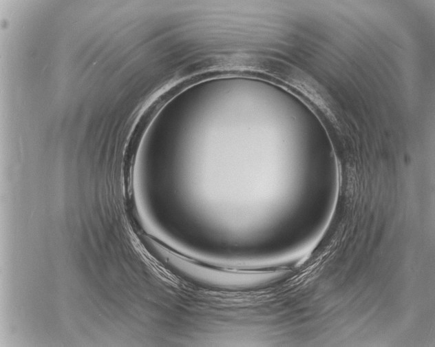 X0000060740980200511171053