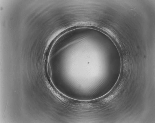 X0000060740981200511171053