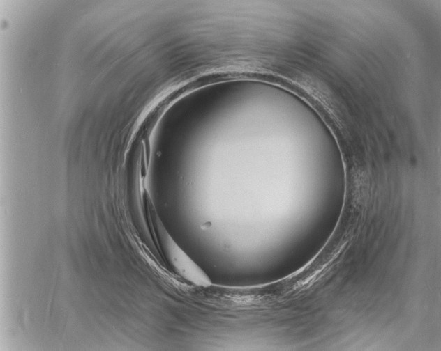 X0000060740982200511171053