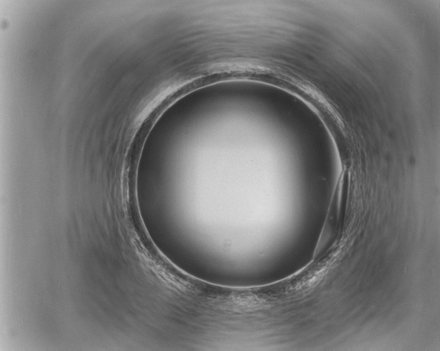 X0000060740983200511171053