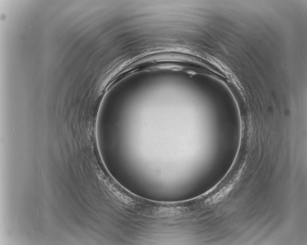 X0000060740985200511171053