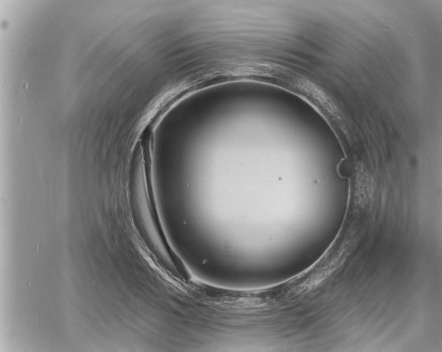 X0000060740986200511171053