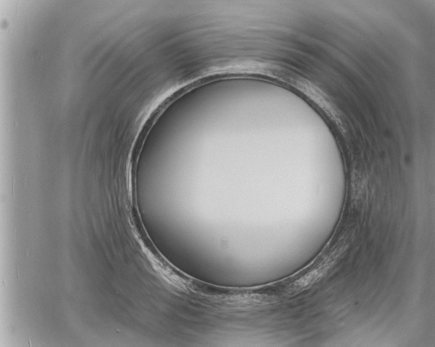 X0000060740988200511171053