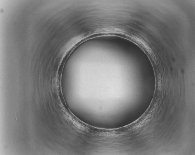 X0000060740990200511171053