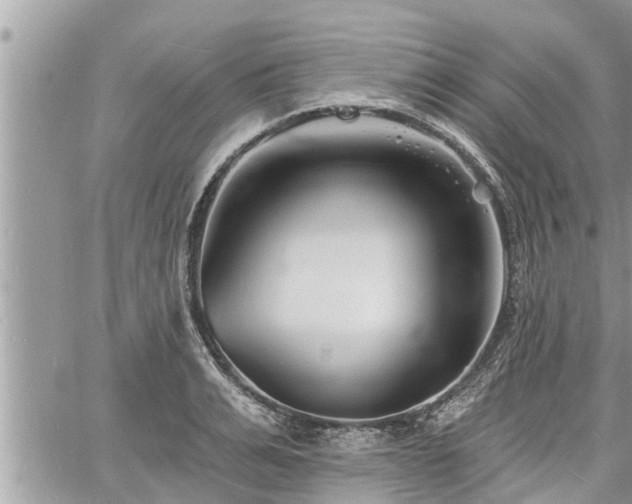 X0000060740991200511171052